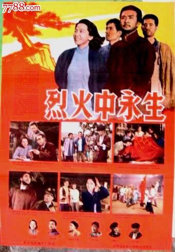 希尔德斯海姆大学国际商务文凭证书